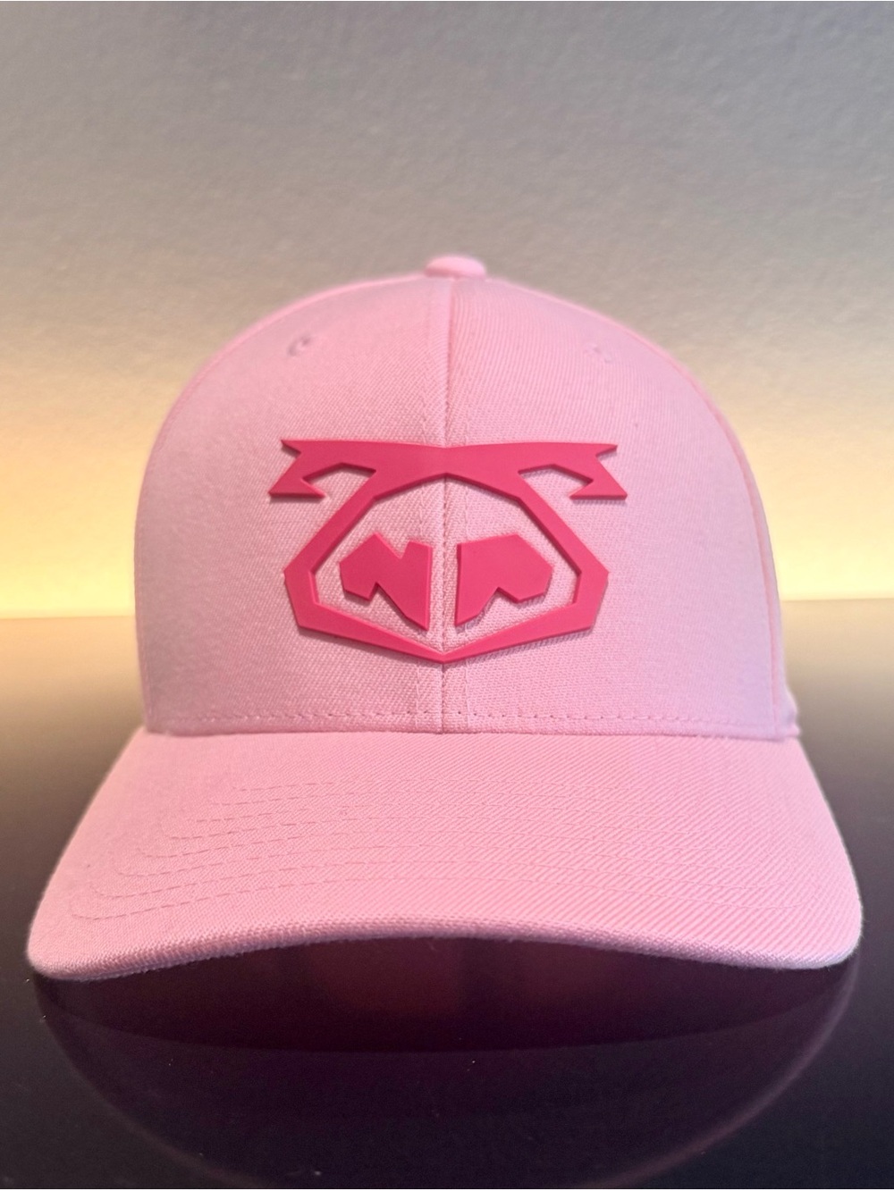 Nasty Pig Cap